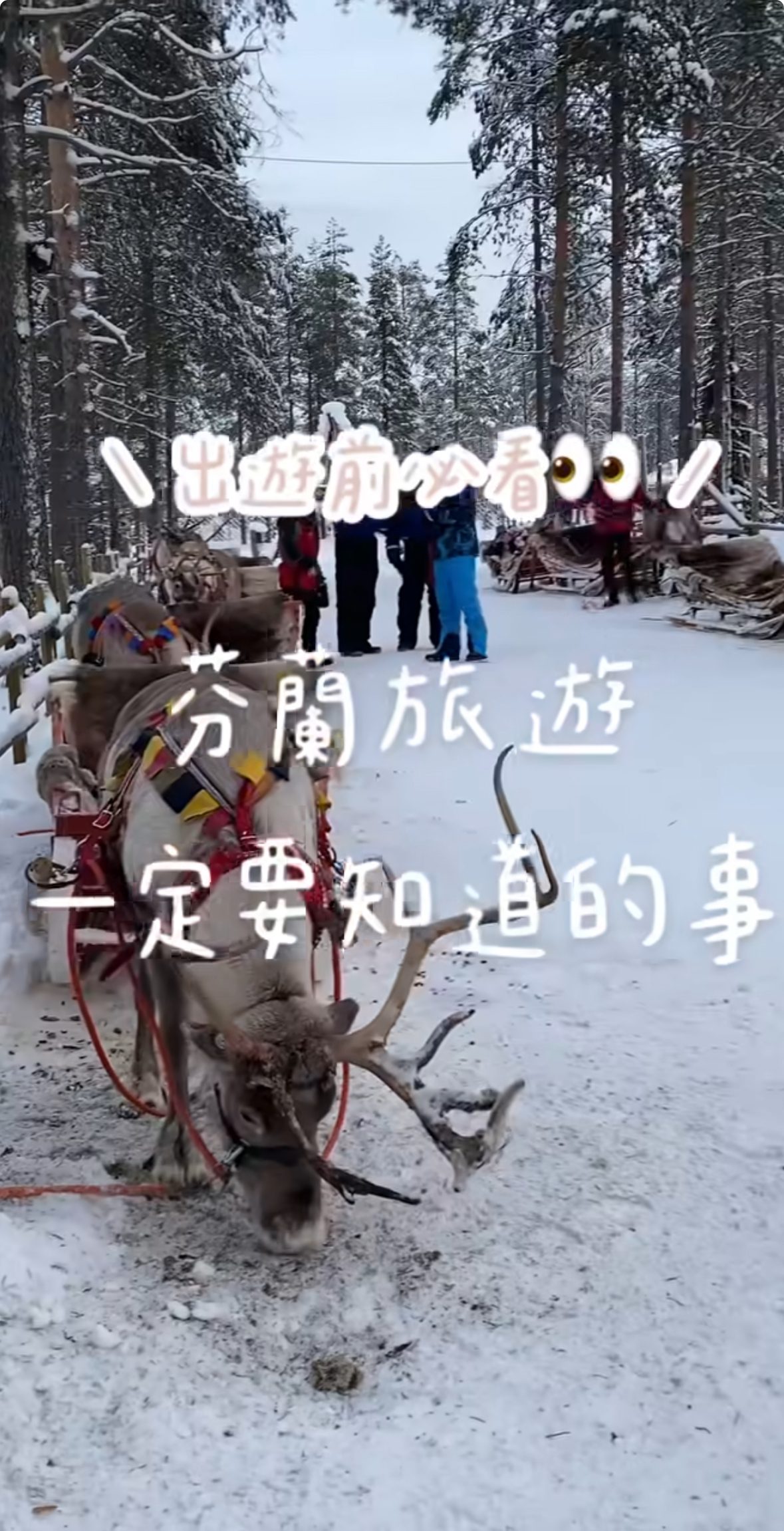 芬蘭旅遊一定要知道的事